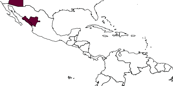 map of Cidaphus sinuosus     Dasch, 1971